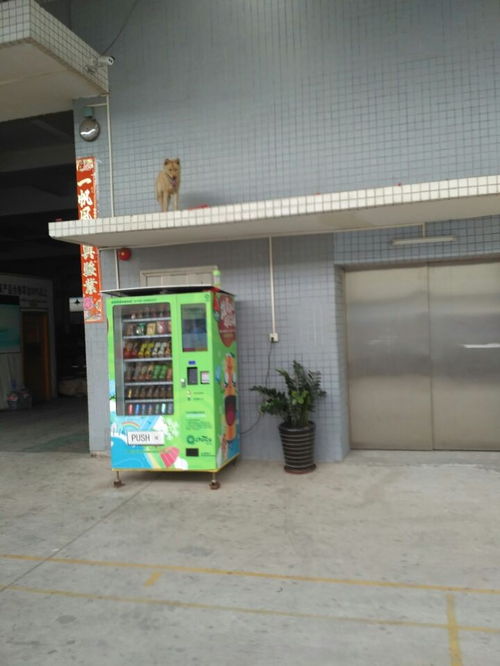 長沙飲料售賣機代理免費投放與建筑材料行業協同發展